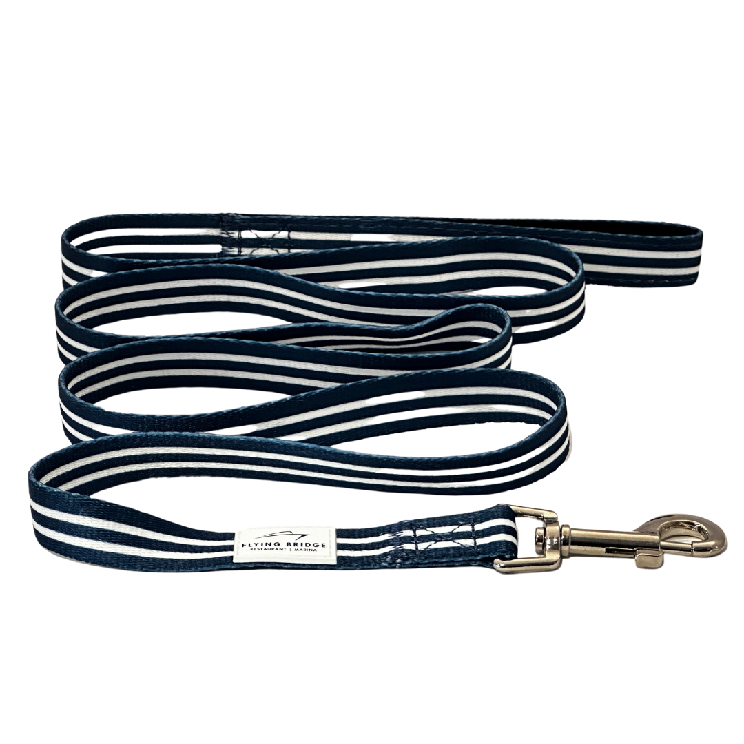 Dog Leash - Striped